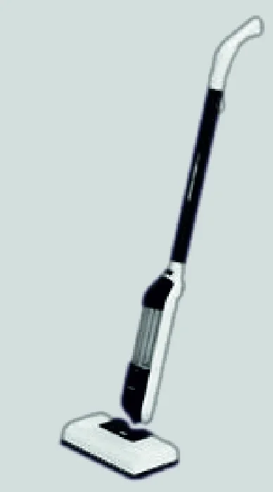 Inalsa Ozoy Steammop