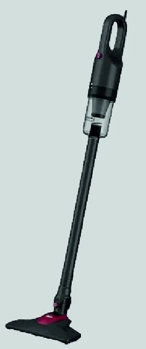 Inalsa Ozoy Plus