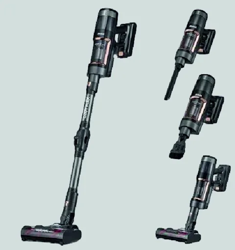 Inalsa Ozoy Flex