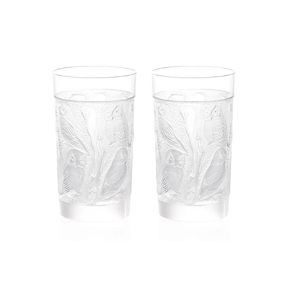 Owl Large Tumbler (Set Of 2)